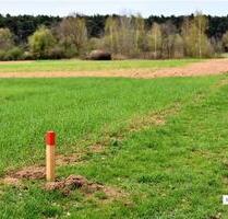 Ohne Makler Land- Forstwirtschaft in 91604 Flachslanden