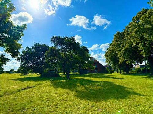 Foto - Bauernhaus, Landhaus in Malchow zum Kaufen