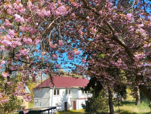 Foto - Leben auf dem Land - 171.000,00&nbsp;EUR Kaufpreis, ca.&nbsp; 184,00&nbsp;m&sup2;