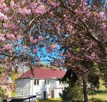 Leben auf dem Land - 171.000,00&nbsp;EUR Kaufpreis, ca.&nbsp; 184,00&nbsp;m&sup2; in Nossen (PLZ: 01683)