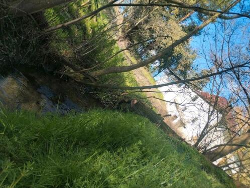 Foto - 6 Zimmer Einfamilienhaus zum Kaufen in Nossen