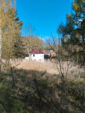 Foto - Einfamilienhaus in Nossen zum Kaufen