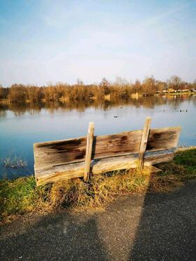 Foto - 3 Zimmer Einfamilienhaus zum Kaufen in Friesenheim