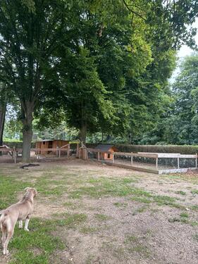 Foto - andere zur Miete in Krefeld
