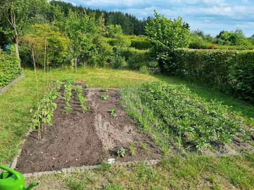 Foto - Grundst&uuml;ck in Dresden zur Miete