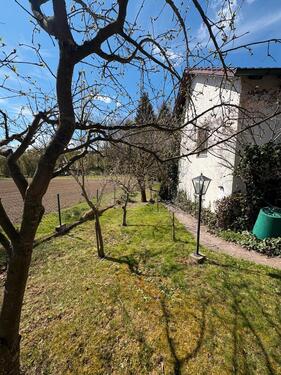 Foto - Einfamilienhaus in Ruhstorf an der Rott zum Kaufen