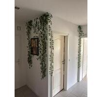 Zimmer in WG letzten Tage - 460,00 EUR Kaltmiete, in Speicher (PLZ: 54662) Zimmer in WG letzten Tage - 460,00 EUR Kaltmiete, in Speicher (PLZ: 54662)