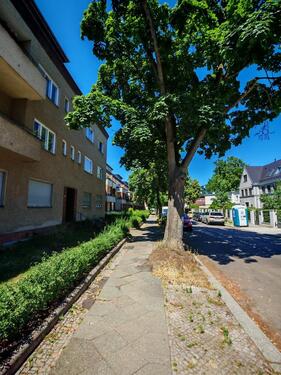 Foto - Charmante Altbauwohnung in Schmargendorf – ruhig, grün & zentral