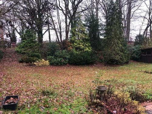 Foto - 5 Zimmer Einfamilienhaus in Bremervörde