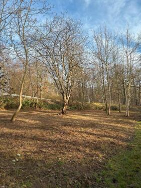 Foto - Grundstück in Groß Umstadt OT zu verpachten