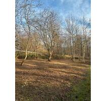 Grundstück in Groß Umstadt OT zu verpachten - Groß-Umstadt