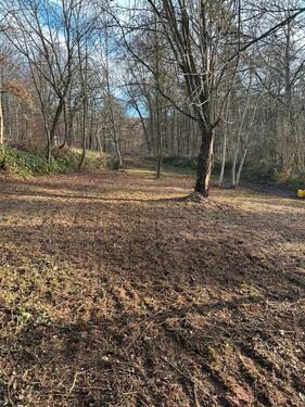 Foto - Grundst&uuml;ck zur Miete in Groß-Umstadt