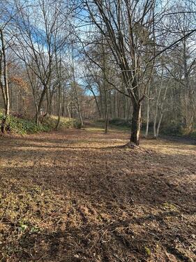 Foto - Grundst&uuml;ck in Groß-Umstadt