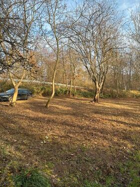 Foto - Grundst&uuml;ck in Groß-Umstadt zur Miete