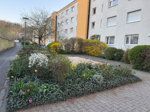Foto - Vollmöblierte 3,5-Zi-Wohnung Wohnen auf Zeit bis Januar Zellerau