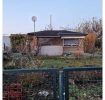 Schrebergarten Pachtgarten Gartenparzelle in guter Lage - Halle (Saale) Damaschkestraße