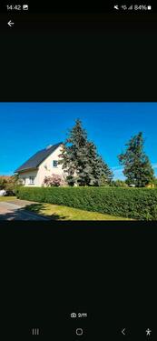 Foto - 2 Zimmer Etagenwohnung zur Miete in Weißenfels