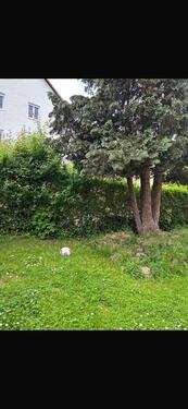 Foto - 2 Zimmer Etagenwohnung in Rothenburg ob der Tauber