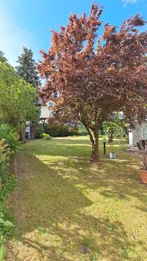 Foto - Einfamilienhaus in Goldbach
