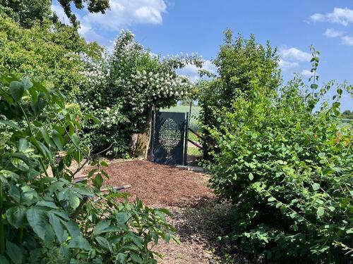 Foto - Garten- Grundstück Freizeitgarten mit Gartenhaus zu verpachten