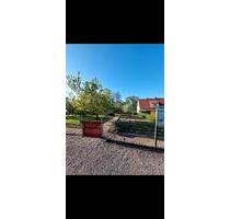 Garten abzugeben - 1.500,00&nbsp;EUR Kaltmiete, ca.&nbsp; 0,00&nbsp;m&sup2; in Crimmitschau (PLZ: 08451)