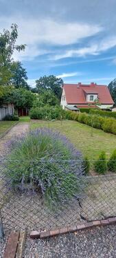 Foto - Grundst&uuml;ck in Crimmitschau