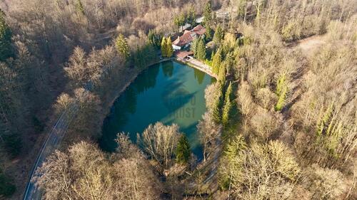 Foto - andere zum Kaufen in Springe