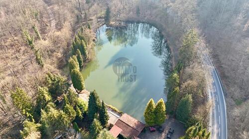 Foto - andere in Springe