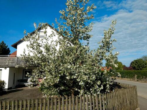 Foto - Einfamilienhaus zum Kaufen in Adelshofen