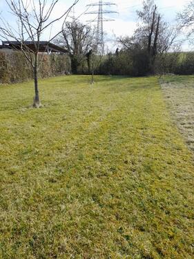 Foto - Obstbaumwiese Baumstück - 4.000,00&nbsp;EUR Kaltmiete, ca.&nbsp; 0,00&nbsp;m&sup2;