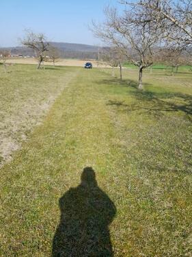 Foto - Grundst&uuml;ck zur Miete in Ötisheim