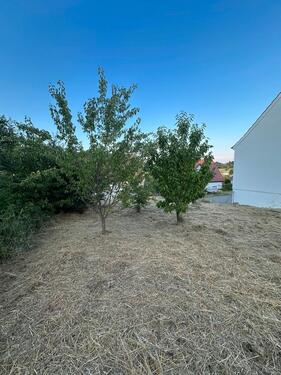 Foto - Garten gezäunt - 200,00 EUR Kaltmiete, ca.  0,00 m²