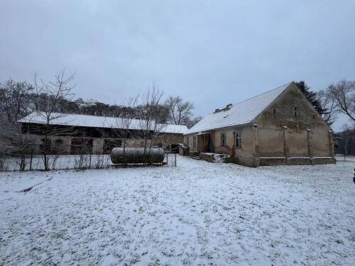 Foto - Bauernhaus, Landhaus in Groß Köris zum Kaufen