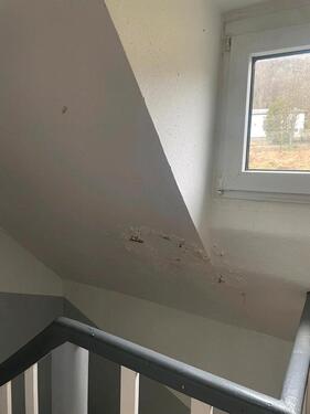 Foto - 2 Zimmer Dachgeschoßwohnung zur Miete in Gerolstein