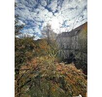 Neu sanierte Atelier-Wohnung mit Parkblick in schweinfurter Innenstadt