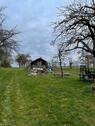Foto - Garten, Stückle, Freizeitgrundstück mit vielen Obstbäumen