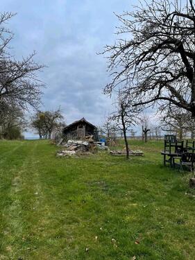 Foto - Garten, Stückle, Freizeitgrundstück mit vielen Obstbäumen