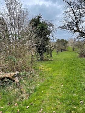 Foto - Grundst&uuml;ck zur Miete in Erligheim