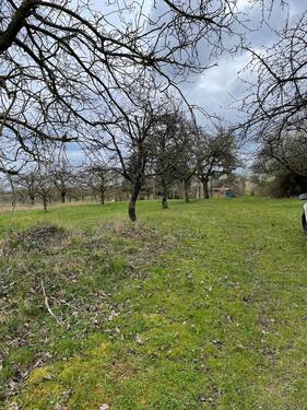 Foto - Grundst&uuml;ck in Erligheim