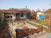Foto - Kleingarten in Gartenanlage Am Fuchsgraben Zwickau