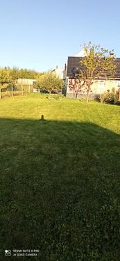 Foto - 