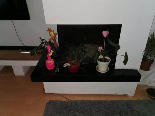 Foto - 