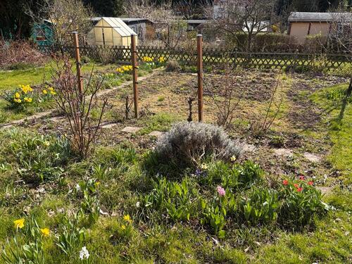 Foto - Grundst&uuml;ck in Dresden