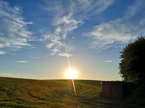 Foto - Wiesen,Ackeland in Großderschau
