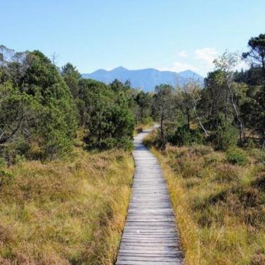 Foto - Haus, Halle, Lager, Büro, Gargagen, Garten, Stellpätze, Wohnhaus
