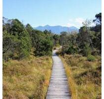 Haus, Halle, Lager, Büro, Gargagen, Garten, Stellpätze, Wohnhaus - Murnau am Staffelsee
