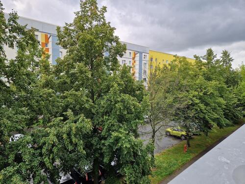 Foto - Etagenwohnung in Leipzig zur Miete