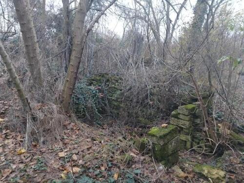 Foto - 3 Zimmer Einfamilienhaus zum Kaufen in Weingarten (Baden)