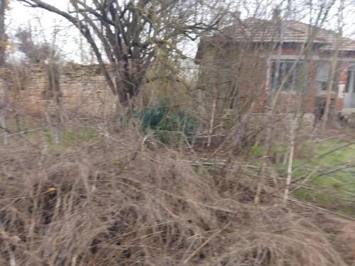 Foto - Einfamilienhaus in Weingarten (Baden) zum Kaufen