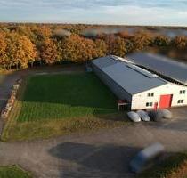 Moderne Gewerbehalle mit großem Außenbereich zu vermieten - Aurich Egels und Wallinghausen Moderne Gewerbehalle mit großem Außenbereich zu vermieten - Aurich Egels und Wallinghausen